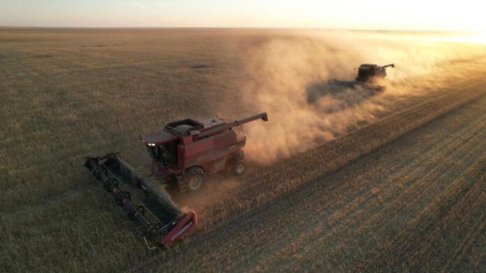 Коргалжынский