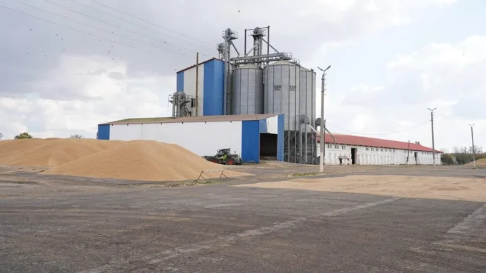 цифровизации