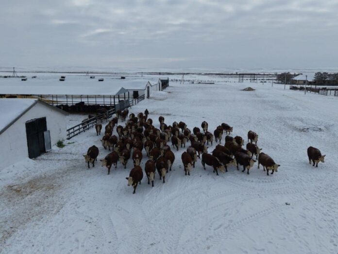 Сандыктауский