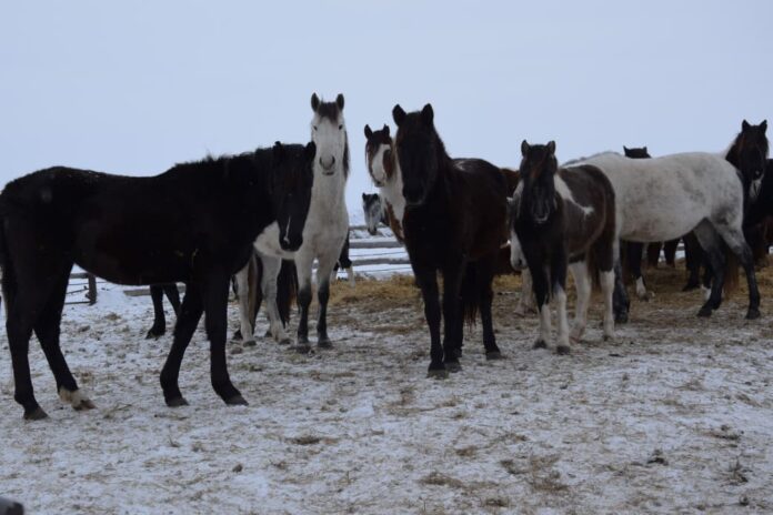 Сандыктауский район