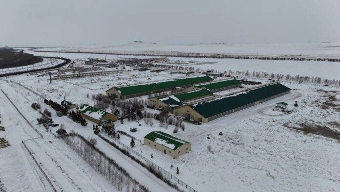 Бурабайском